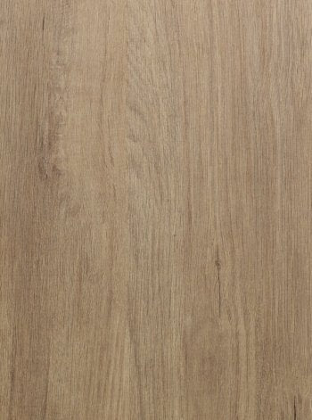 Roble Oak - Sample