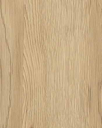 Sand Evolve - Sample