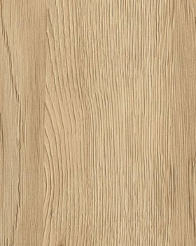 Sand Evolve - Sample